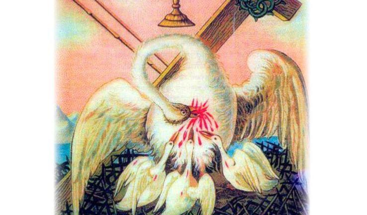 113η εθελοντική αιμοδοσία στον Αγίο Τρύφωνα Καματερού