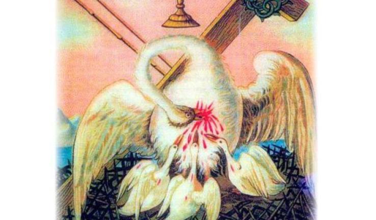 114η εθελοντική αιμοδοσία στον Άγιο Τρύφωνα Καματερού