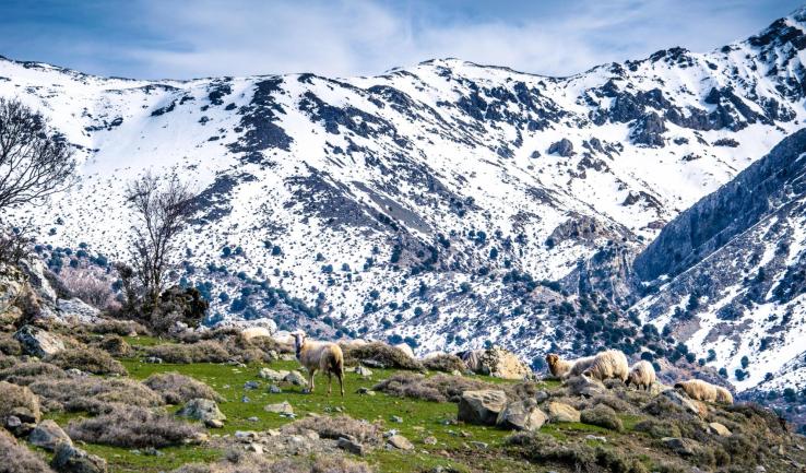 Πρόγραμμα ακολουθιών Φεβρουαρίου 2026 ενορίας Αγ. Βαρβάρας Ιλίου